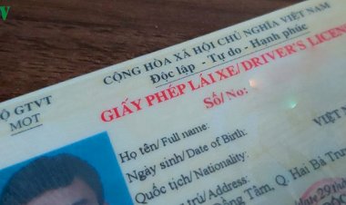 Mức Phạt Mới Nhất 2020: Không Có Hoặc Không Mang Giấy Phép Lái Xe Có Thể Bị Phạt Đến 8 Triệu Đồng