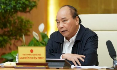 Thủ tướng: Kiên quyết đưa giá thịt lợn xuống dưới 60.000 đồng/kg, nếu không sẽ nhập khẩu