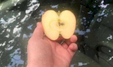 Chà xát nửa quả táo lên kính ô tô, điều kỳ diệu xảy ra