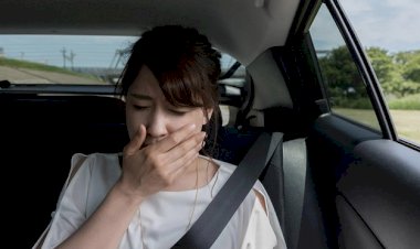 Mẹo của tài già để hành khách đỡ bị say xe khó chịu