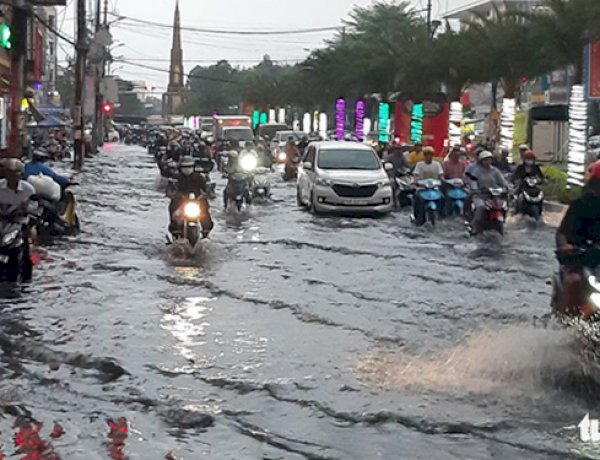 Cà Mau 'mưa vàng', ngập nửa bánh xe ngay giữa mùa khô