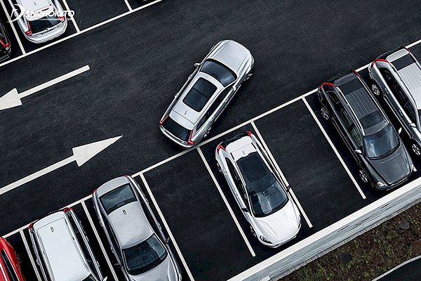 Dành cho lái mới: Những sai lầm khi cho xe lùi chuồng